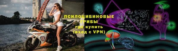 ECSTASY Медногорск